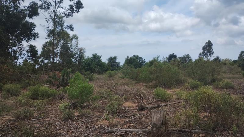 Foto destaque do imóvel