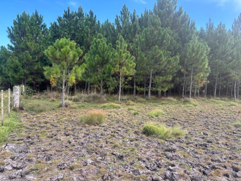 Foto destaque do imóvel